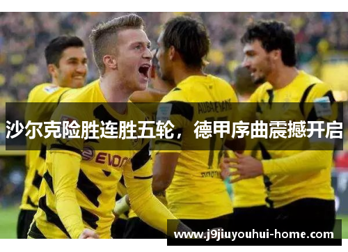 沙尔克险胜连胜五轮，德甲序曲震撼开启